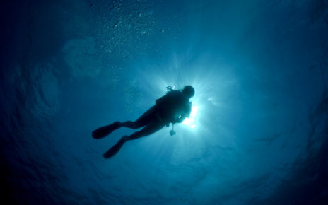 Perkins Dive Services - KEMAH MARINA DIVING SERVICE & HULL SCRUBBING