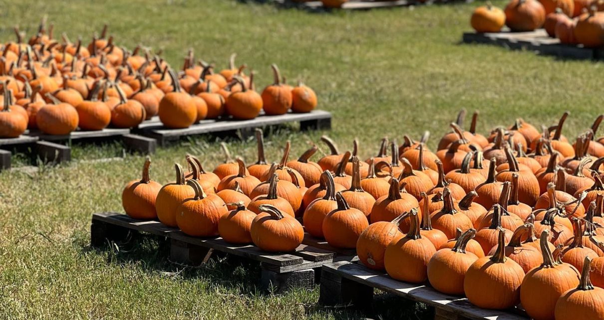 ASBURY UNITED METHODIST CHURCH