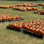 ASBURY UNITED METHODIST CHURCH
