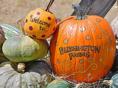 BLESSINGTON FARMS