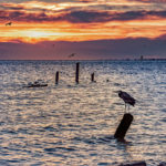 Why Seabrook should be your family's next Southeast Texas getaway